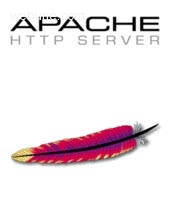 We only use the Apache web server to deliver our hosted sites Apache logo. The Apache web server will deliver your web pages without any fuss.